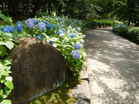 roserun006.jpg