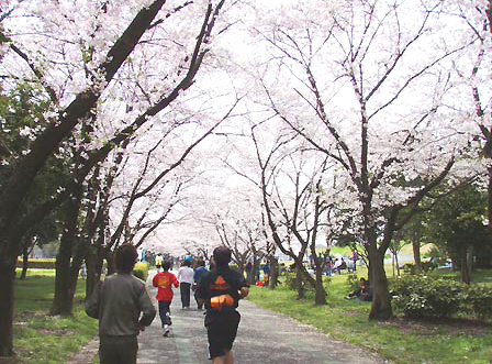 shounai001.jpg