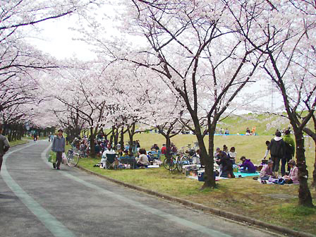 shounai002.jpg