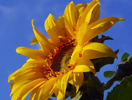 sun0001.jpg