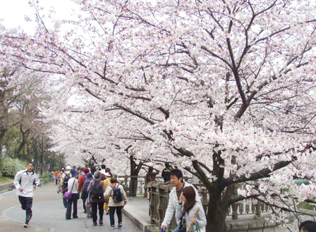 yama_hitoippai.jpg