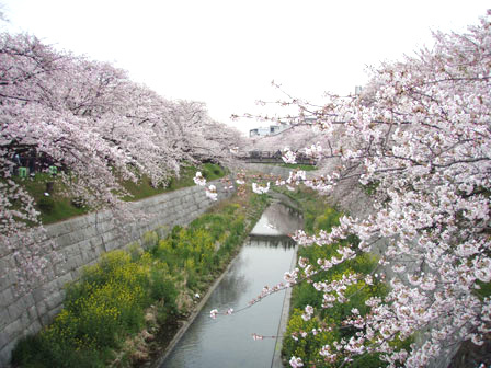 yamazaki001.jpg